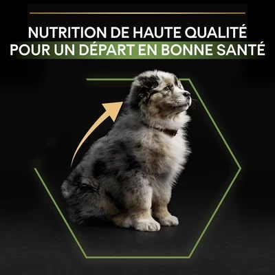 PURINA PRO PLAN Medium Puppy Healthy Start Pour Chien 7 PURINA PRO PLAN Medium Puppy Healthy Start Pour Chien – Image 5