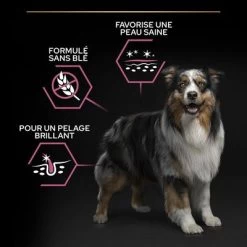 PURINA PRO PLAN Medium Adult Sensitive Skin Pour Chien -Pet Care Soldes b00y9ssipi pt02 3