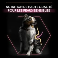 PURINA PRO PLAN Medium Adult Sensitive Skin Pour Chien -Pet Care Soldes b00y9ssipi pt05 8