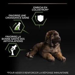 PURINA PRO PLAN Large Robust Puppy Healthy Start Pour Chiot 15 PURINA PRO PLAN Large Robust Puppy Healthy Start Pour Chiot -Pet Care Soldes b00y9sswou pt02 1