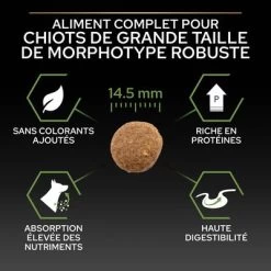 PURINA PRO PLAN Large Robust Puppy Healthy Start Pour Chiot 17 PURINA PRO PLAN Large Robust Puppy Healthy Start Pour Chiot -Pet Care Soldes b00y9sswou pt04 8