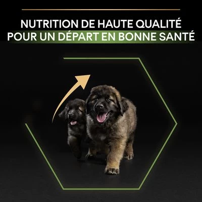 PURINA PRO PLAN Large Robust Puppy Healthy Start Pour Chiot 6 PURINA PRO PLAN Large Robust Puppy Healthy Start Pour Chiot – Image 4