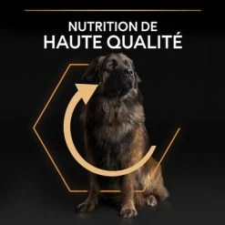 PURINA PRO PLAN Large Robust Adult Everyday Nutrition Pour Chien -Pet Care Soldes b00y9ssx4y pt05 8