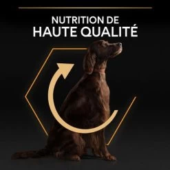 PURINA PRO PLAN Large Athletic Adult Everyday Nutrition Pour Chien -Pet Care Soldes b00y9stl18 pt05 5