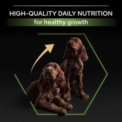 PURINA PRO PLAN Large Athletic Puppy Healthy Start Pour Chiot 16 PURINA PRO PLAN Large Athletic Puppy Healthy Start Pour Chiot -Pet Care Soldes b00y9stlrm pt05 1