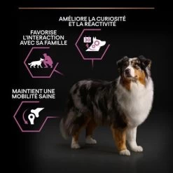 PURINA PRO PLAN Medium & Large Adult 7+ Age Defence Pour Chien -Pet Care Soldes b00y9su022 pt02 7