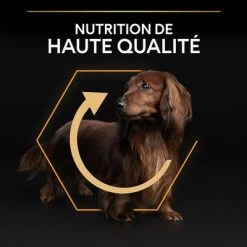 PURINA PRO PLAN Small & Mini Adult Everyday Nutrition Pour Chien -Pet Care Soldes b00y9su0ea pt05 0