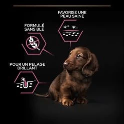 PURINA PRO PLAN Small & Mini Puppy Sensitive Skin Pour Chien -Pet Care Soldes b00zrdamxk pt02 2