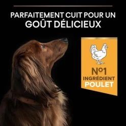 PURINA PRO PLAN Small & Mini Adult 9+ Age Defence Pour Chien -Pet Care Soldes b0117eakck pt03 0