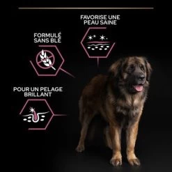 PURINA PRO PLAN Large Robust Adult Sensitive Skin Saumon Pour Chien 15 PURINA PRO PLAN Large Robust Adult Sensitive Skin Saumon Pour Chien -Pet Care Soldes b01h05h6c2 pt02 9