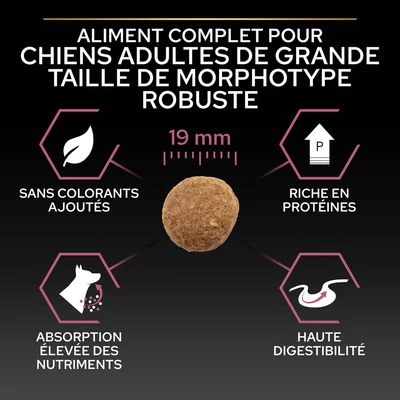 PURINA PRO PLAN Large Robust Adult Sensitive Skin Saumon Pour Chien 9 PURINA PRO PLAN Large Robust Adult Sensitive Skin Saumon Pour Chien – Image 7