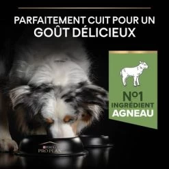 PURINA PRO PLAN Medium Adult Sensitive Digestion Agneau, Riz Pour Chien 16 PURINA PRO PLAN Medium Adult Sensitive Digestion Agneau, Riz Pour Chien -Pet Care Soldes b01mu14zby pt03 1