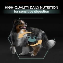 PURINA PRO PLAN Medium Adult Sensitive Digestion Agneau, Riz Pour Chien 14 PURINA PRO PLAN Medium Adult Sensitive Digestion Agneau, Riz Pour Chien -Pet Care Soldes b01mu14zby pt05 1