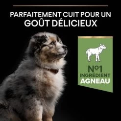 PURINA PRO PLAN Medium Puppy Sensitive Digestion Agneau Pour Chiot 18 PURINA PRO PLAN Medium Puppy Sensitive Digestion Agneau Pour Chiot -Pet Care Soldes b01mu1e45s pt03 9