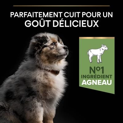 PURINA PRO PLAN Medium Puppy Sensitive Digestion Agneau Pour Chiot 9 PURINA PRO PLAN Medium Puppy Sensitive Digestion Agneau Pour Chiot – Image 7