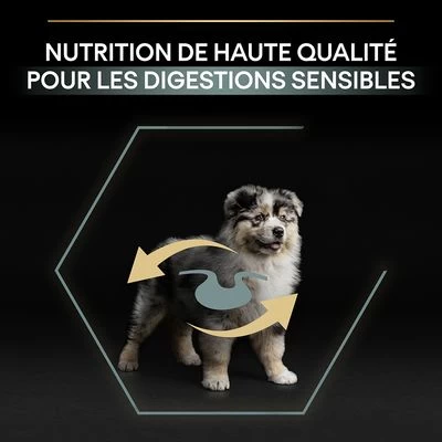PURINA PRO PLAN Medium Puppy Sensitive Digestion Agneau Pour Chiot 7 PURINA PRO PLAN Medium Puppy Sensitive Digestion Agneau Pour Chiot – Image 5