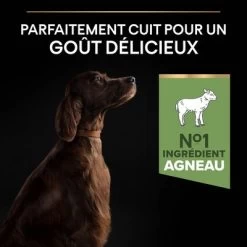PURINA PRO PLAN Large Adult Athletic Sensitive Digestion Agneau, Riz Pour Chien -Pet Care Soldes b01n2ukw3k pt03 0