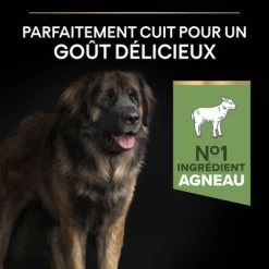 PURINA PRO PLAN Large Adult Robust Sensitive Digestion Agneau, Riz Pour Chien 16 PURINA PRO PLAN Large Adult Robust Sensitive Digestion Agneau, Riz Pour Chien -Pet Care Soldes b01n3asryw pt03 5