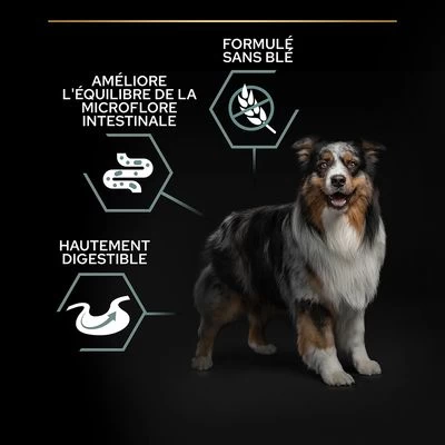 PURINA PRO PLAN Medium & Large Adult Sensitive Digestion Sans Céréales Pour Chien 7 PURINA PRO PLAN Medium & Large Adult Sensitive Digestion Sans Céréales Pour Chien – Image 5