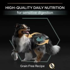 PURINA PRO PLAN Medium & Large Adult Sensitive Digestion Sans Céréales Pour Chien 14 PURINA PRO PLAN Medium & Large Adult Sensitive Digestion Sans Céréales Pour Chien -Pet Care Soldes b07nd5tw84 pt05 7