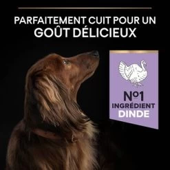 PURINA PRO PLAN Small & Mini Adult Sensitive Digestion Sans Céréales 16 PURINA PRO PLAN Small & Mini Adult Sensitive Digestion Sans Céréales -Pet Care Soldes b07nd615y2 pt03 9
