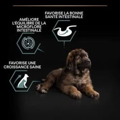 PURINA PRO PLAN Large Robust Puppy Sensitive Digestion Agneau Pour Chien -Pet Care Soldes b081yf7rbg pt02 9