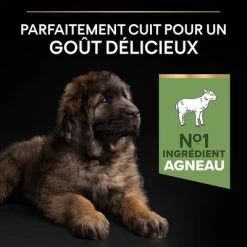 PURINA PRO PLAN Large Robust Puppy Sensitive Digestion Agneau Pour Chien -Pet Care Soldes b081yf7rbg pt03 7