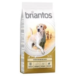 Croquettes Briantos 12 / 14 Kg Pour Chien + Barkoo Dental Snacks Medium 180 G En Cadeau ! -Pet Care Soldes briantos adult maxi chickenrice 14kg 1000x1000 2