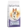 Briantos Adult Active Pour Chien 1 Briantos Adult Active Pour Chien -Pet Care Soldes briantos c 14kg adult active 2022 1000x1000 9