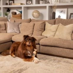 Pet Head Sensitive Soul Pour Chien -Pet Care Soldes companyofanimals pethead sensitivesoul set3teilig hs 08 9