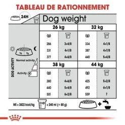 Royal Canin Maxi Dental Care Pour Chien -Pet Care Soldes dentalmaxi 4 3