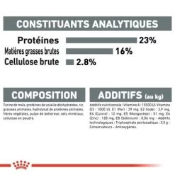 Royal Canin Maxi Dental Care Pour Chien -Pet Care Soldes dentalmaxi 5 1