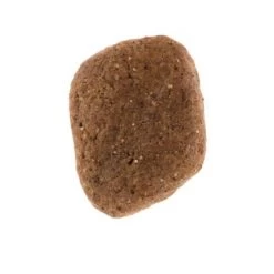 Lot Wolf Of Wilderness The Taste Of 2 X 12 Kg Pour Chien -Pet Care Soldes dsc2629 0