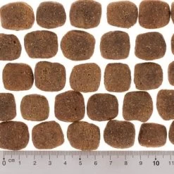 Lot Wolf Of Wilderness The Taste Of 2 X 12 Kg Pour Chien -Pet Care Soldes dsc2632 2