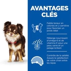 Hill's Science Plan Adult 1-6 Light Small & Mini Poulet Pour Chien -Pet Care Soldes fr dog adult s m light chicken transition benefits 5