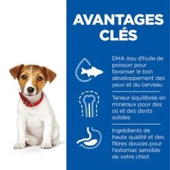 Hill's Science Plan Puppy <1 Small & Mini Poulet Pour Chiot 14 Hill's Science Plan Puppy <1 Small & Mini Poulet Pour Chiot -Pet Care Soldes fr dog puppy s m chicken transition benefits 8