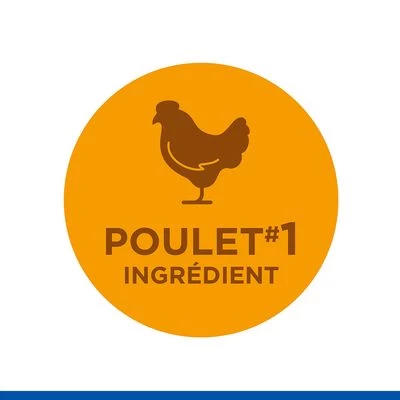 Hill's Science Plan Adult 1-6 No Grain Medium Poulet Pour Chien 7 Hill's Science Plan Adult 1-6 No Grain Medium Poulet Pour Chien – Image 5