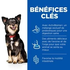 Hill's Science Plan Adult Perfect Digestion Small & Mini Pour Chien -Pet Care Soldes h195917 p364037 hills sp perfect digestion ecom thumbnails dog fr fr v25 key benefits mini 4