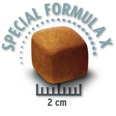 Lot Concept For Life Pour Chien 9 Lot Concept For Life Pour Chien – Image 7