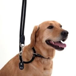 Laisse Pour Chien Hunter Retriever Freestyle -Pet Care Soldes leine halsband 11 1
