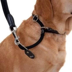 Laisse Pour Chien Hunter Retriever Freestyle -Pet Care Soldes leine halsband 13 1