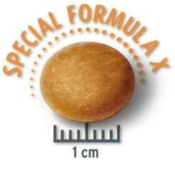 Croquettes Concept For Life 12 Kg + 1,5 Kg Offert ! -Pet Care Soldes mediumjunior krokette 2