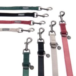 Laisse Nomad Tales Blush, émeraude Pour Chien -Pet Care Soldes nomad tales bloom halsbaender fg 1433 3