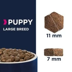 Eukanuba Puppy Large Breed Poulet Pour Chiot -Pet Care Soldes puppy large 0