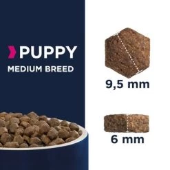Eukanuba Puppy Medium Breed Poulet Pour Chiot -Pet Care Soldes puppy medium 2