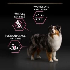 PURINA PRO PLAN Medium & Large Adult 7+ Sensitive Skin Pour Chien -Pet Care Soldes puprpnddadvselasa23fnb2gv01palfr 5