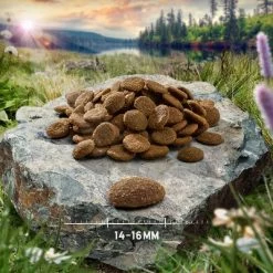 Croquettes Purizon Pour Chien 12 Kg + 2 Kg Offerts ! -Pet Care Soldes purizon hund adult chicken 14 16 mm 4