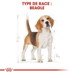 Royal Canin Beagle Adult Pour Chien -Pet Care Soldes rc bhn beagle cv eretailkit 1 fr fr 0