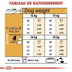 Royal Canin Beagle Adult Pour Chien -Pet Care Soldes rc bhn beagle cv eretailkit 5 fr fr 7