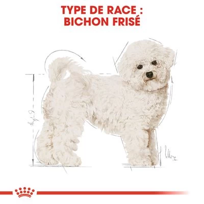 Royal Canin Bichon Frisé Pour Chien 8 Royal Canin Bichon Frisé Pour Chien – Image 6
